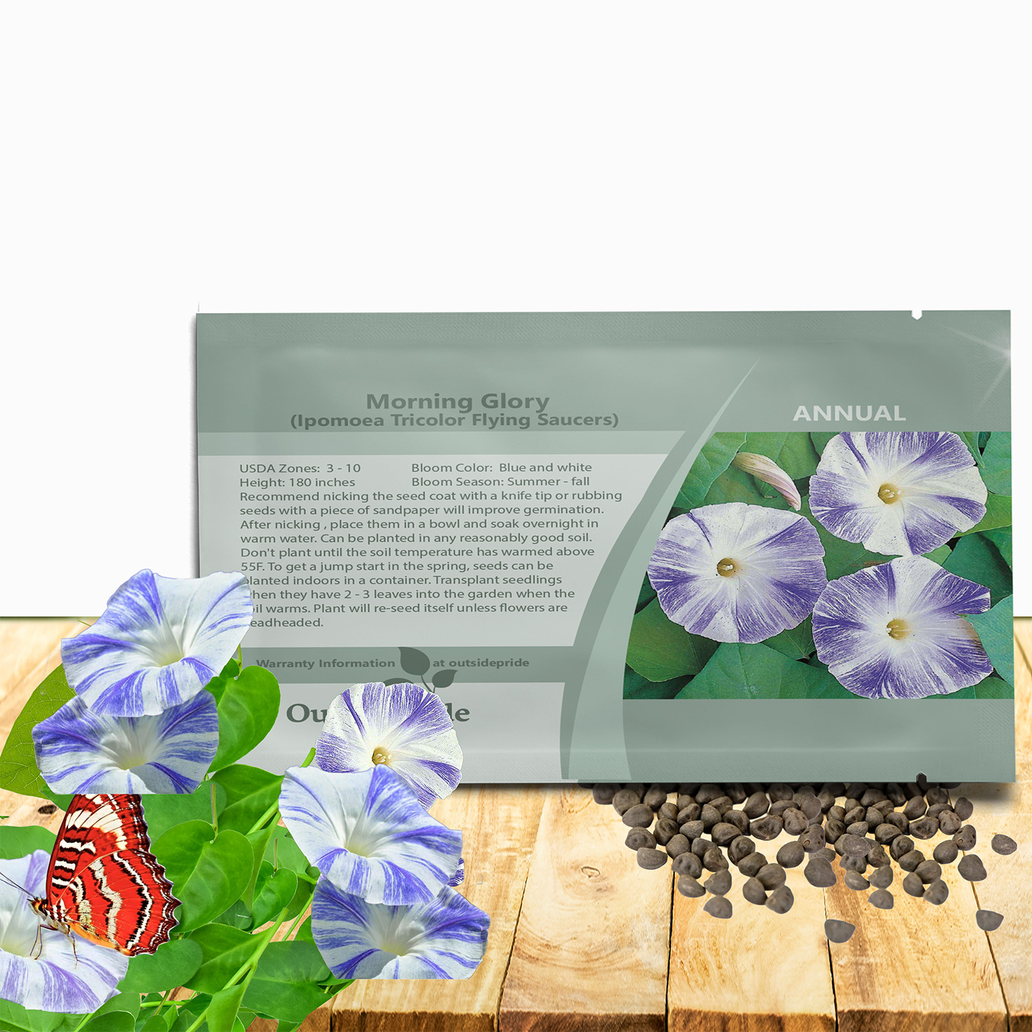 Morning Glory Flying Saucers Seed Packet