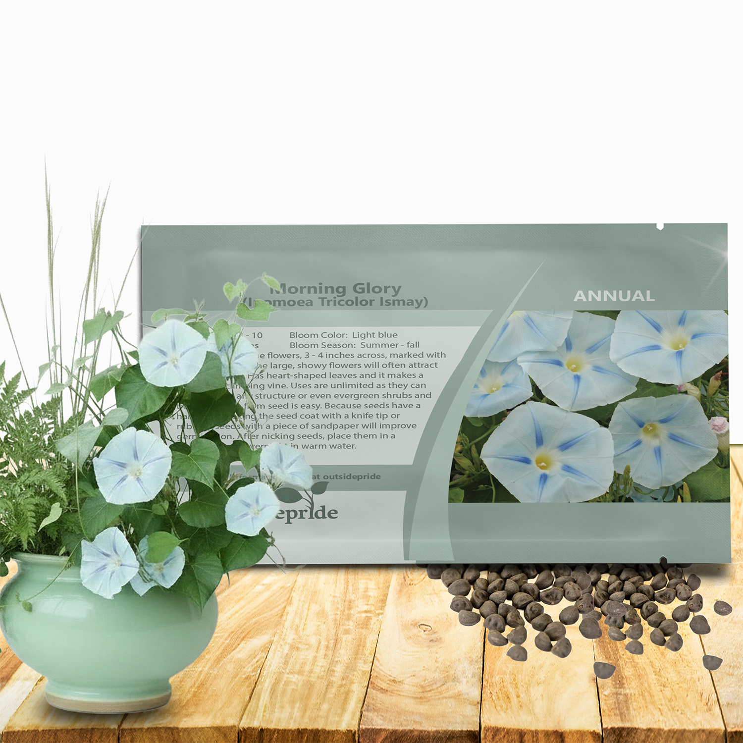 Morning Glory Ismay Seed Packet