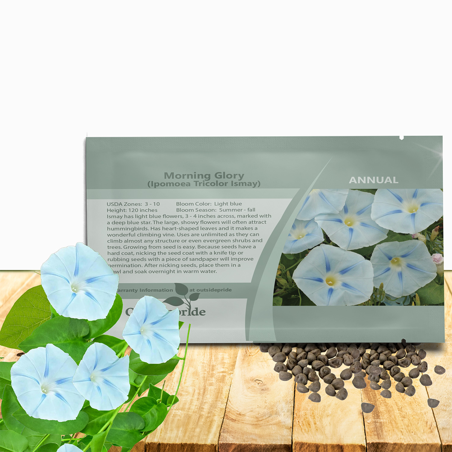 Morning Glory Ismay Seed Packet