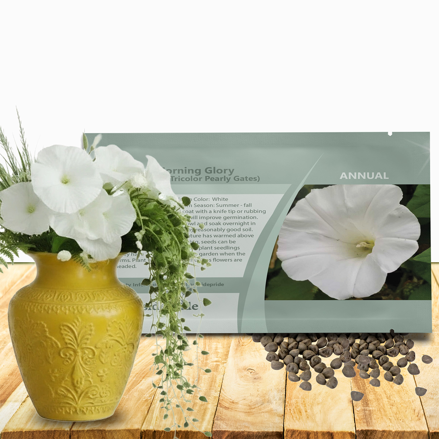 Morning Glory Pearly Gates Seed Packet For Planting