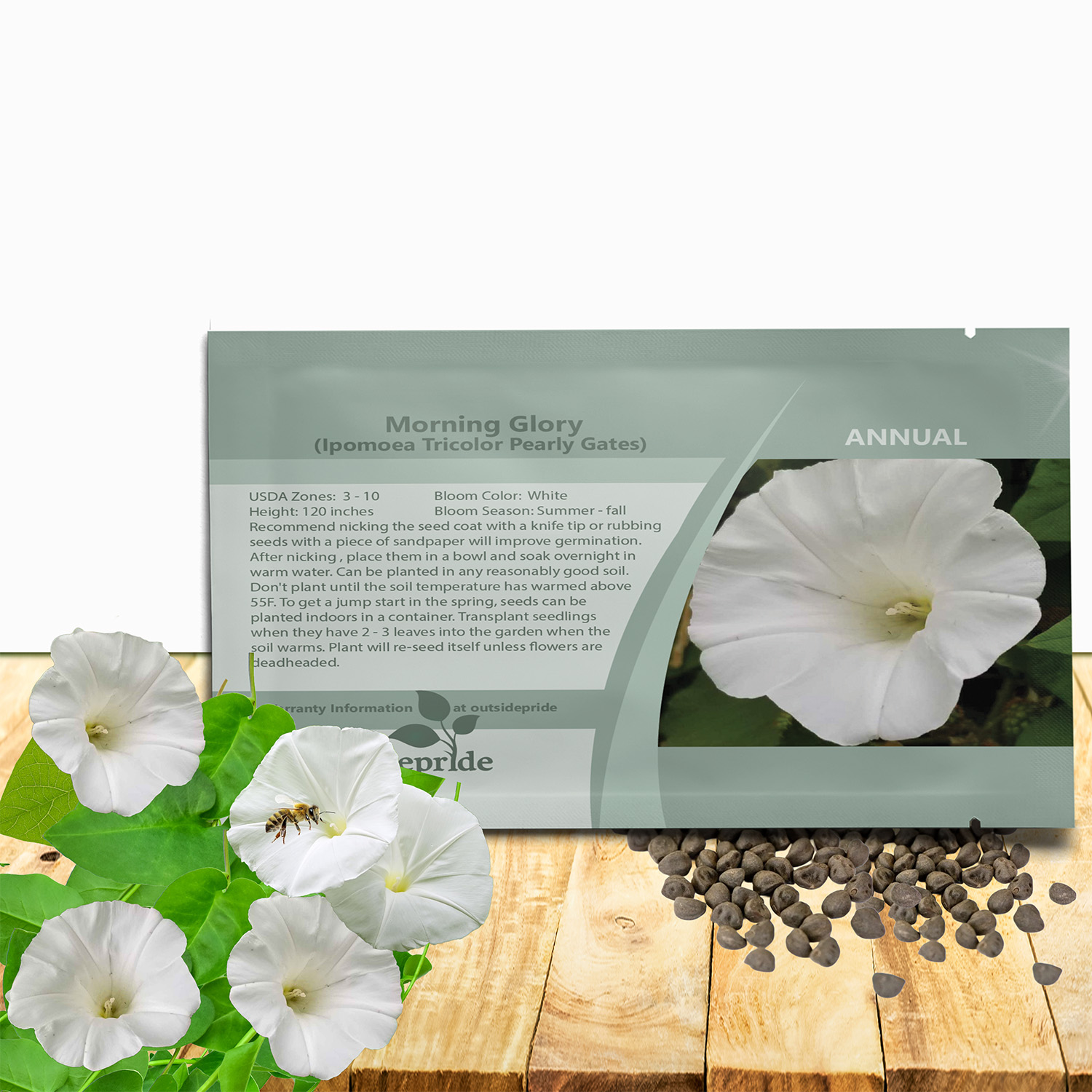 Morning Glory Pearly Gates Seed Packet For Planting