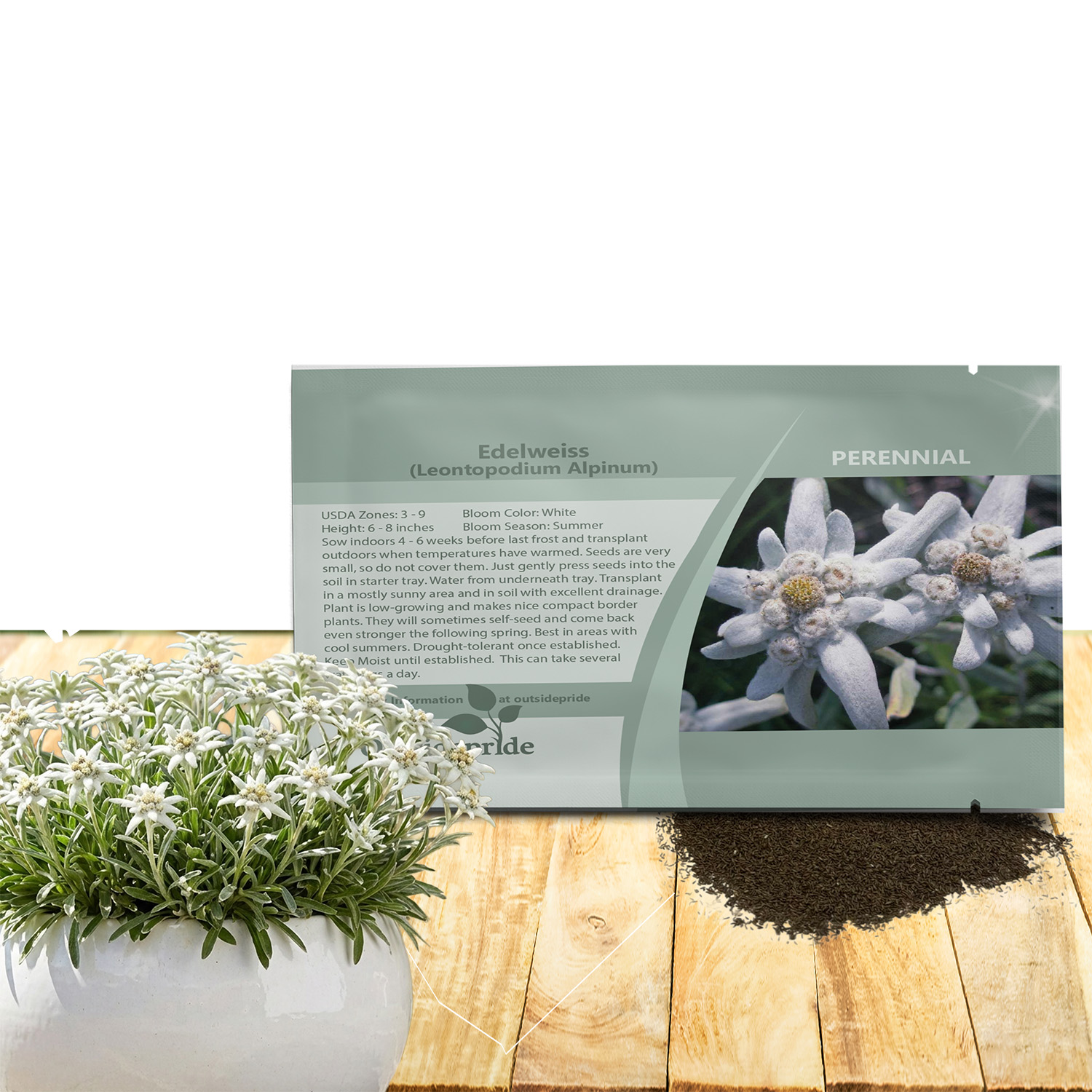 Edelweiss Ground Cover Seeds For Planting