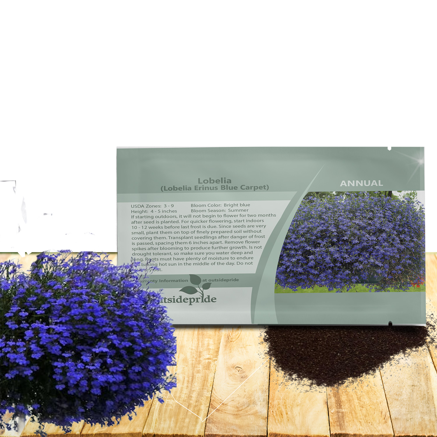 Lobelia Blue Carpet Seed Packet