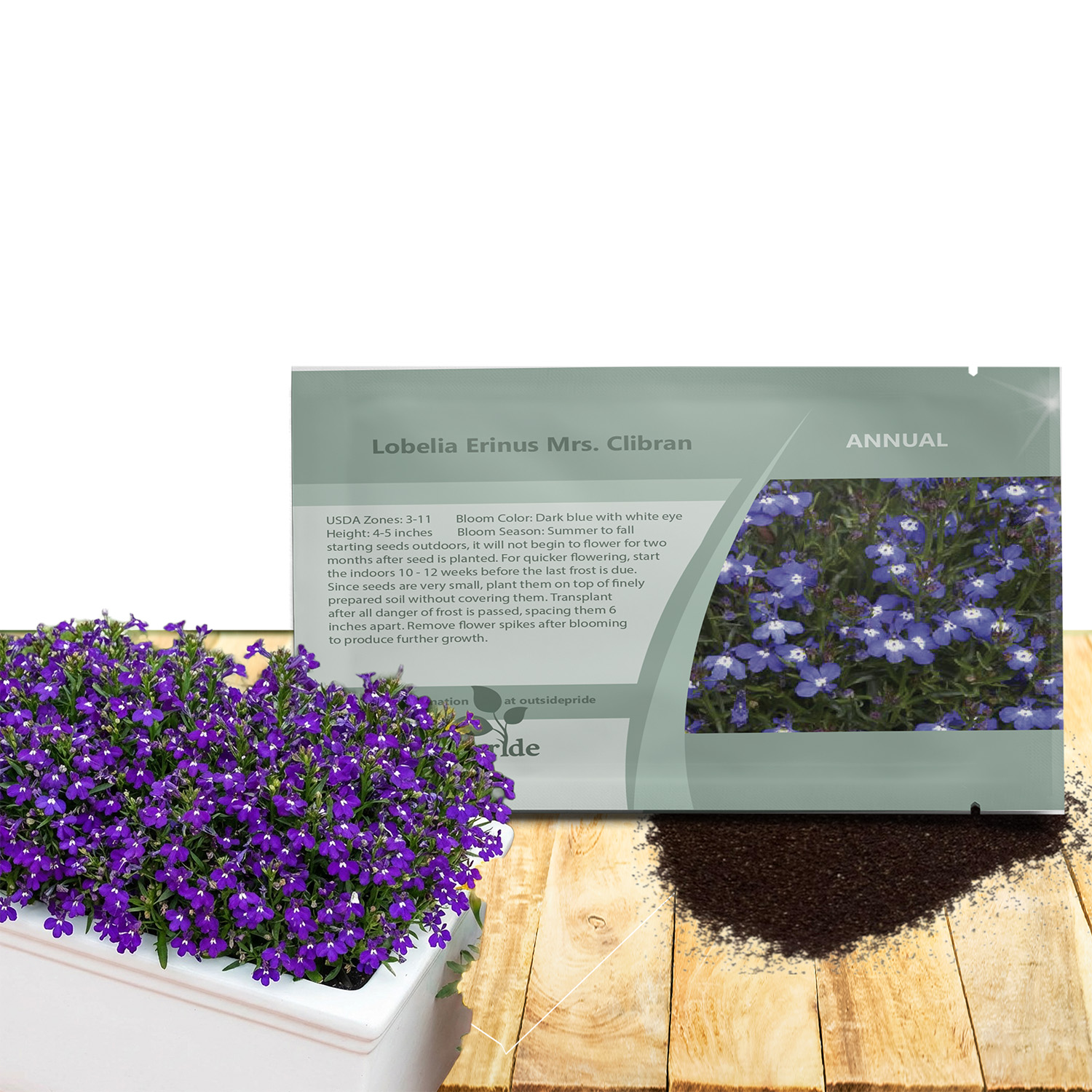 Lobelia Mrs. Clibran Seed Packet For Planting