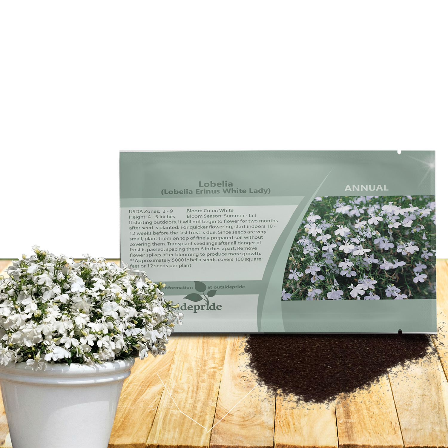 Lobelia White Lady Seed Packets For Planting