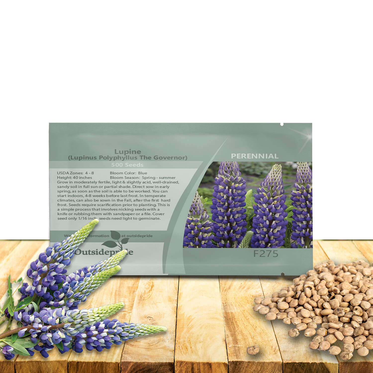 Lupine The Governor Seed Packet
