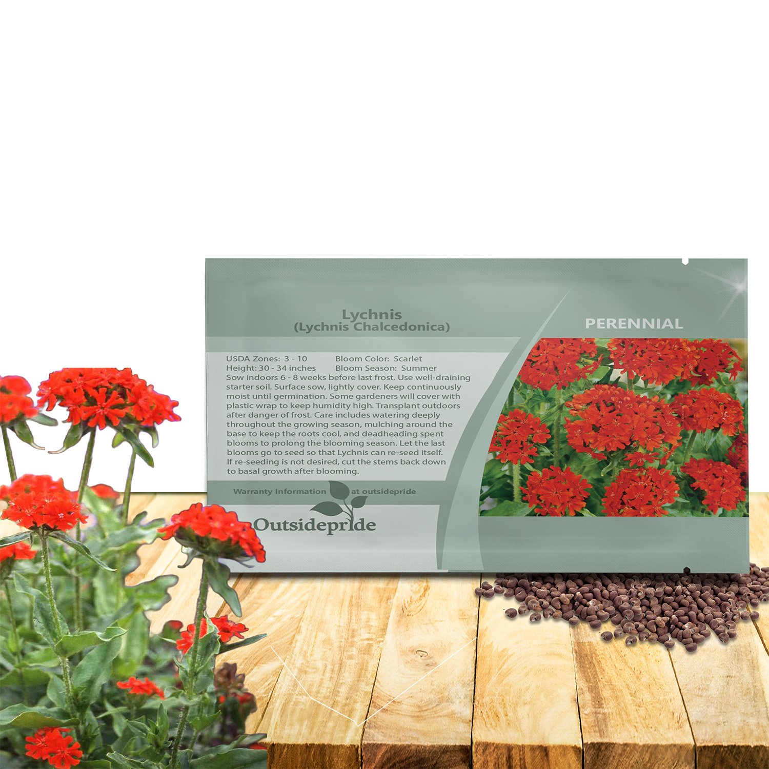 Lychnis Maltese Cross Flower Seed Packet For Planting