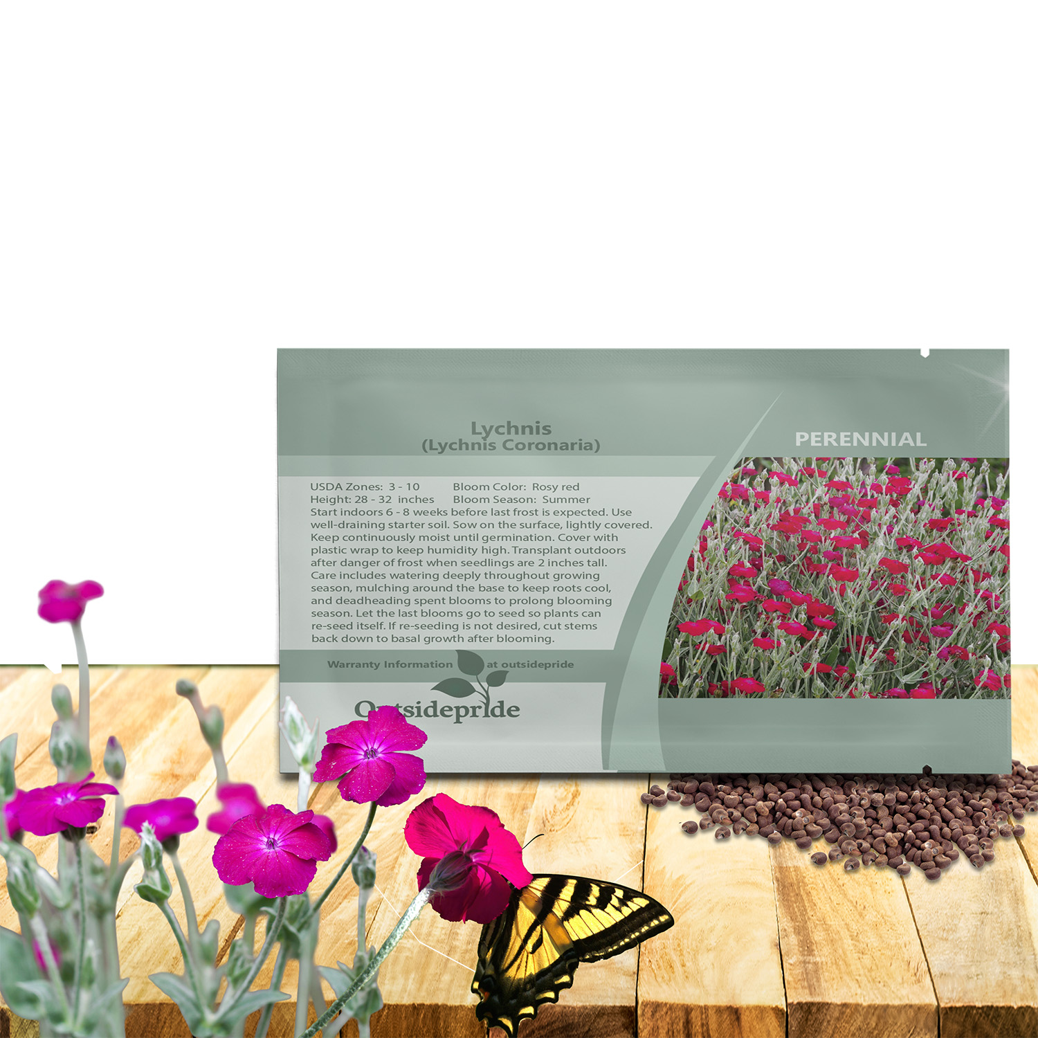 Lychnis Coronaria Seed Packet For Planting