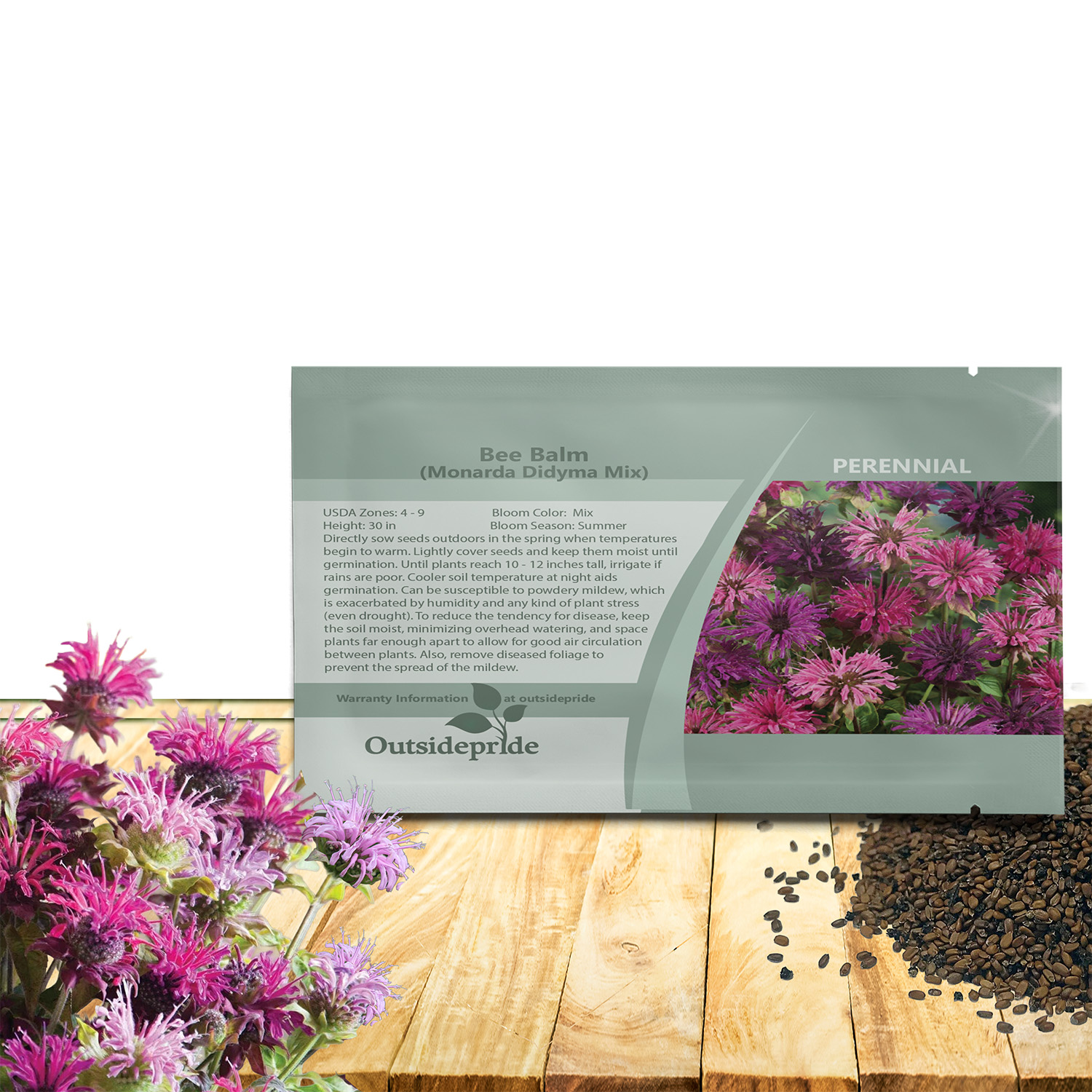 Bee Balm Garden Flower Seed Packet