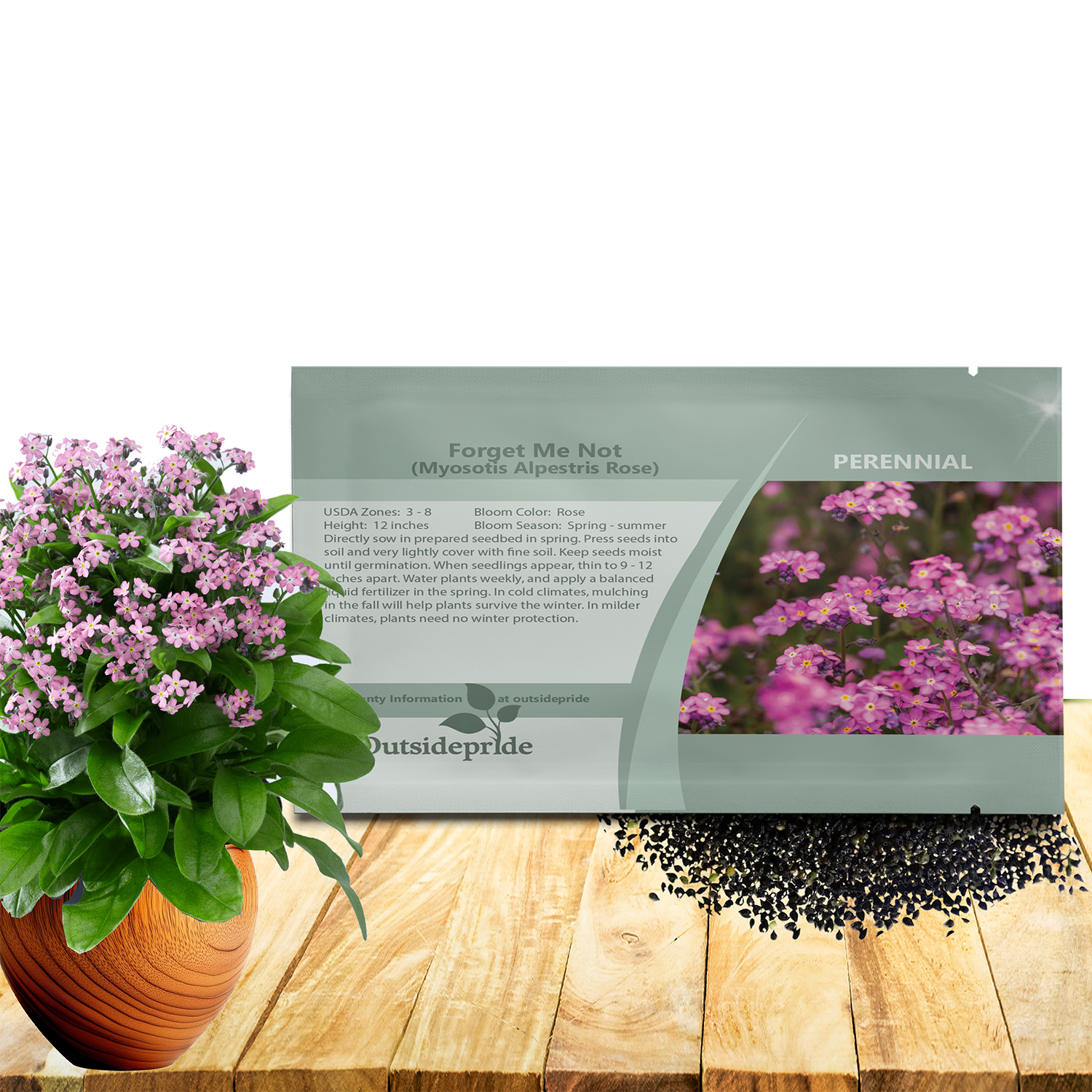 Myosotis Rose Forget Me Not Seed Packet