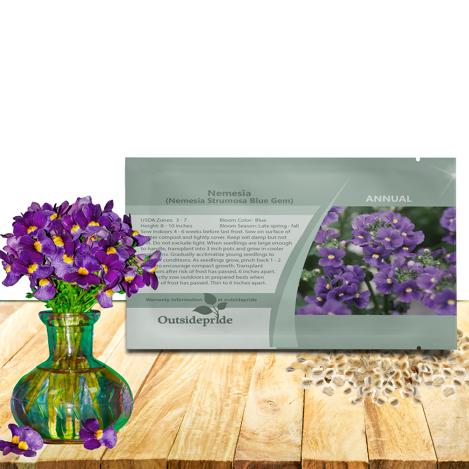 Nemesia Blue Flower Seeds For Planting