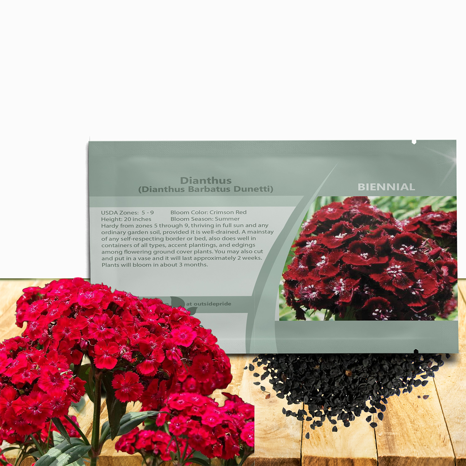 Dianthus Dunetti Flower Seed Packet