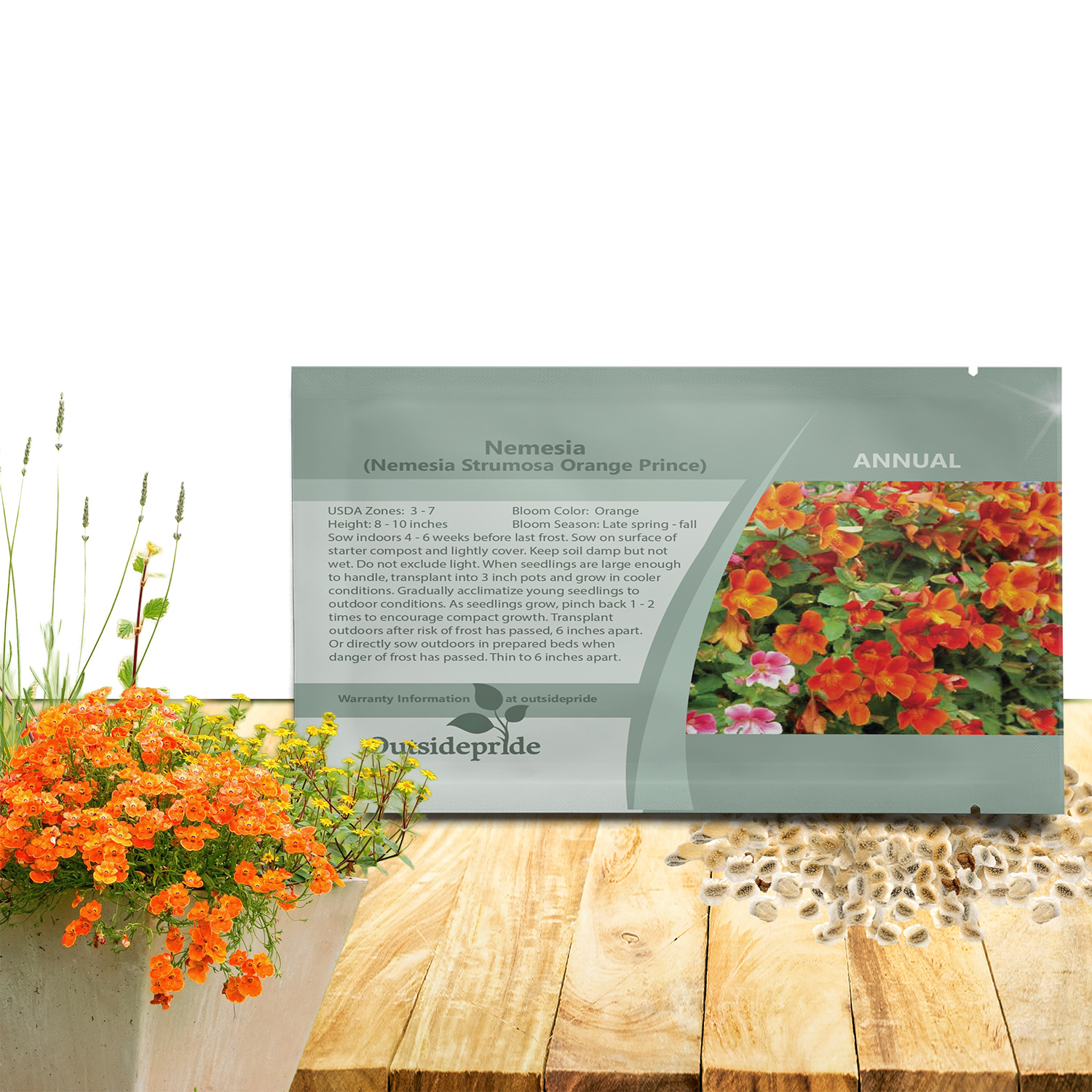 Nemesia Orange Flower Seeds For Planting