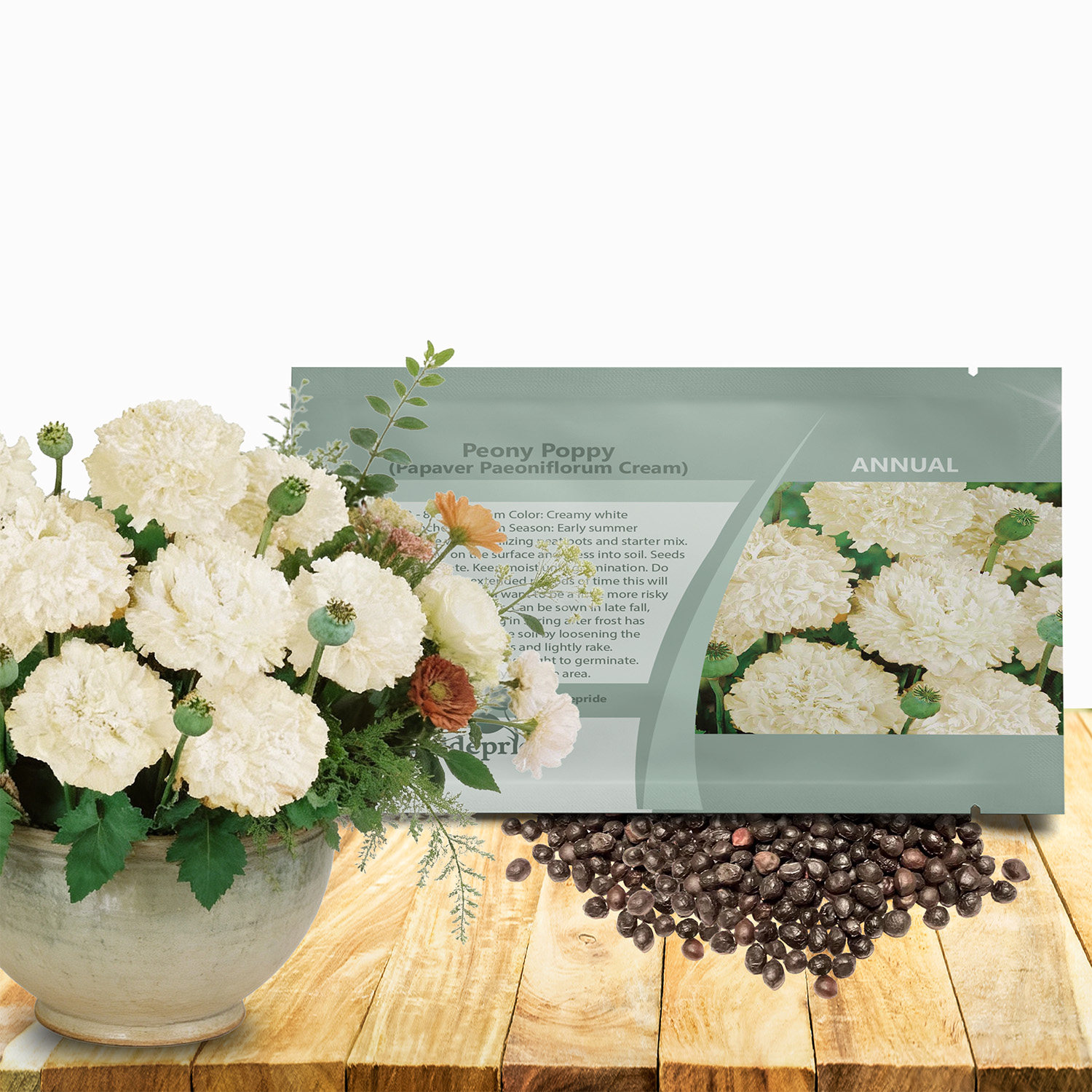 Papaver Paeoniflorum Cream Flower Seed Packet
