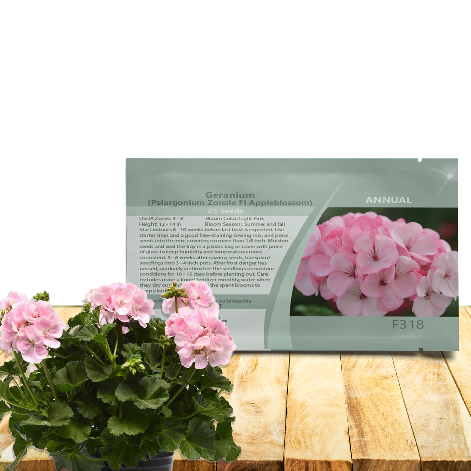 Geranium Appleblossom Container Plants