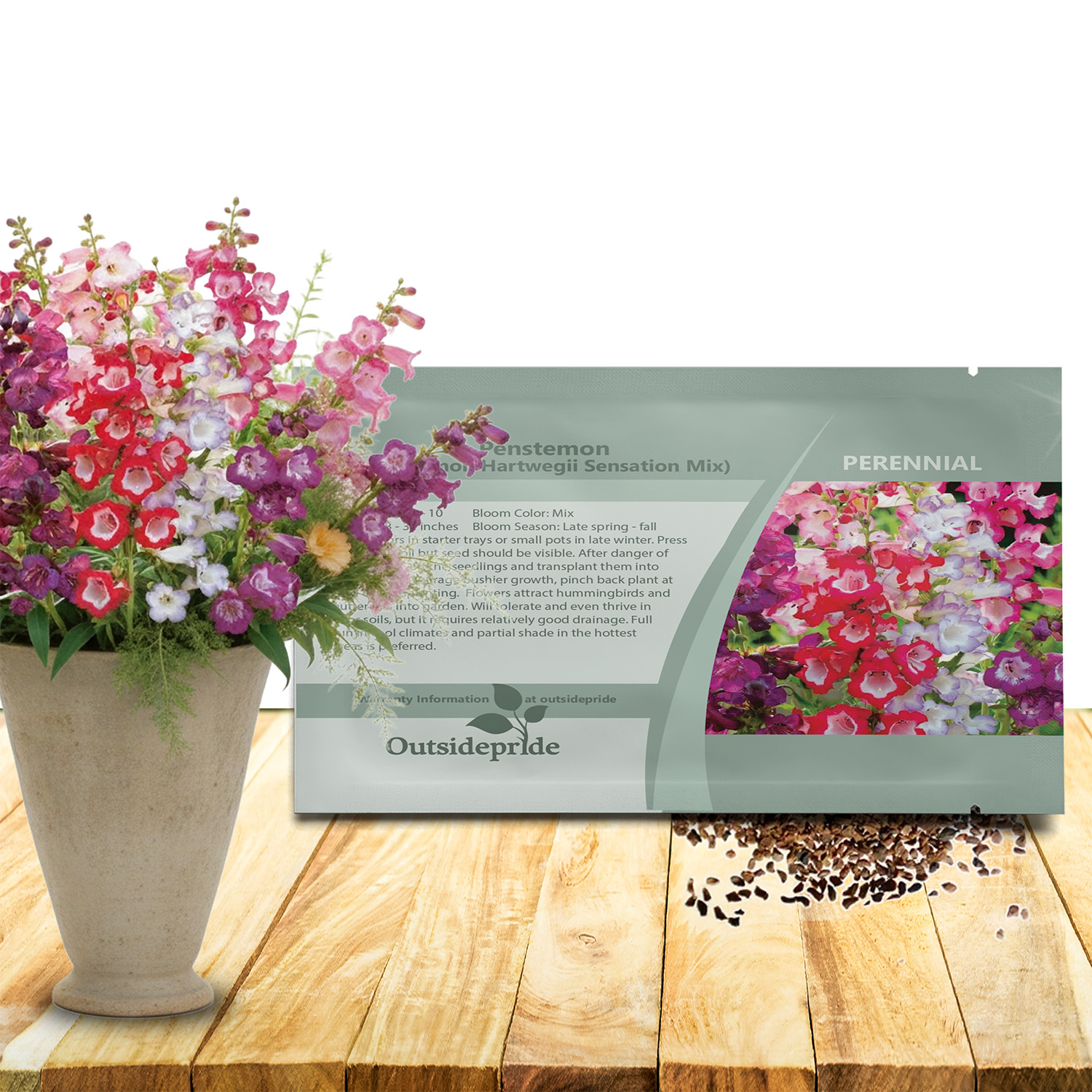 Penstemon Hartwegii Sensation Seed Packet For Planting