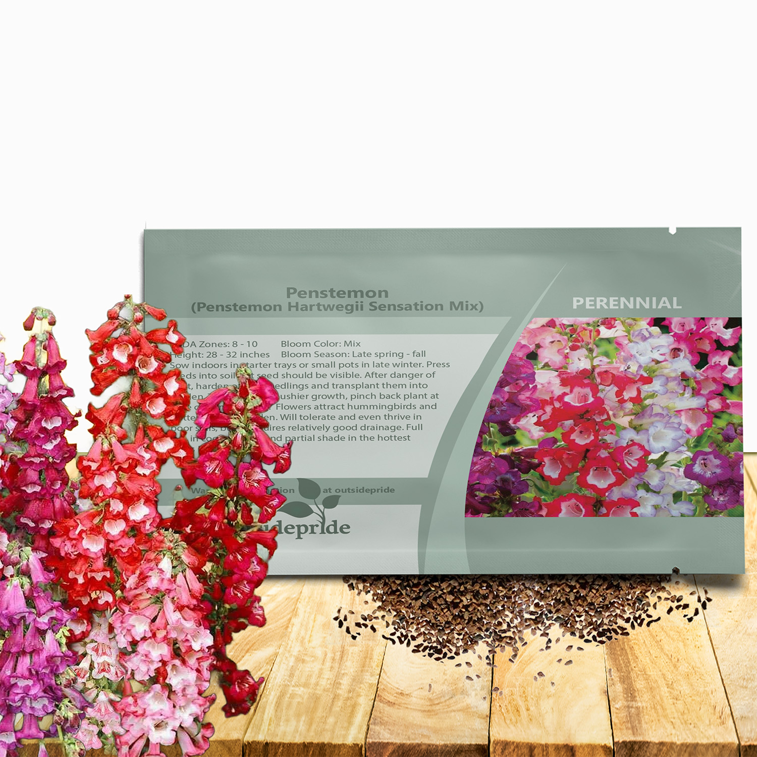 Penstemon Hartwegii Sensation Seed Packet For Planting