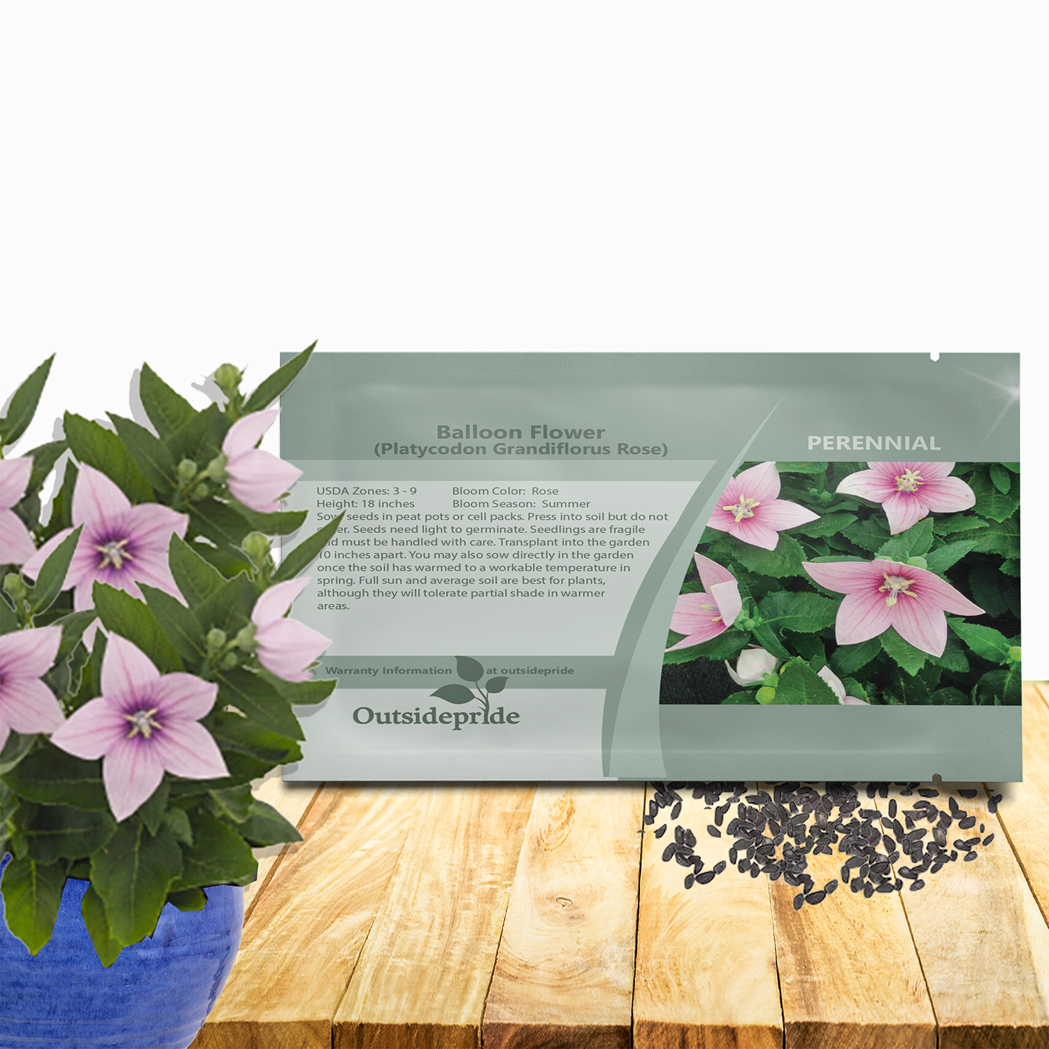 Balloon Flower Rose Seed Packet For Planting