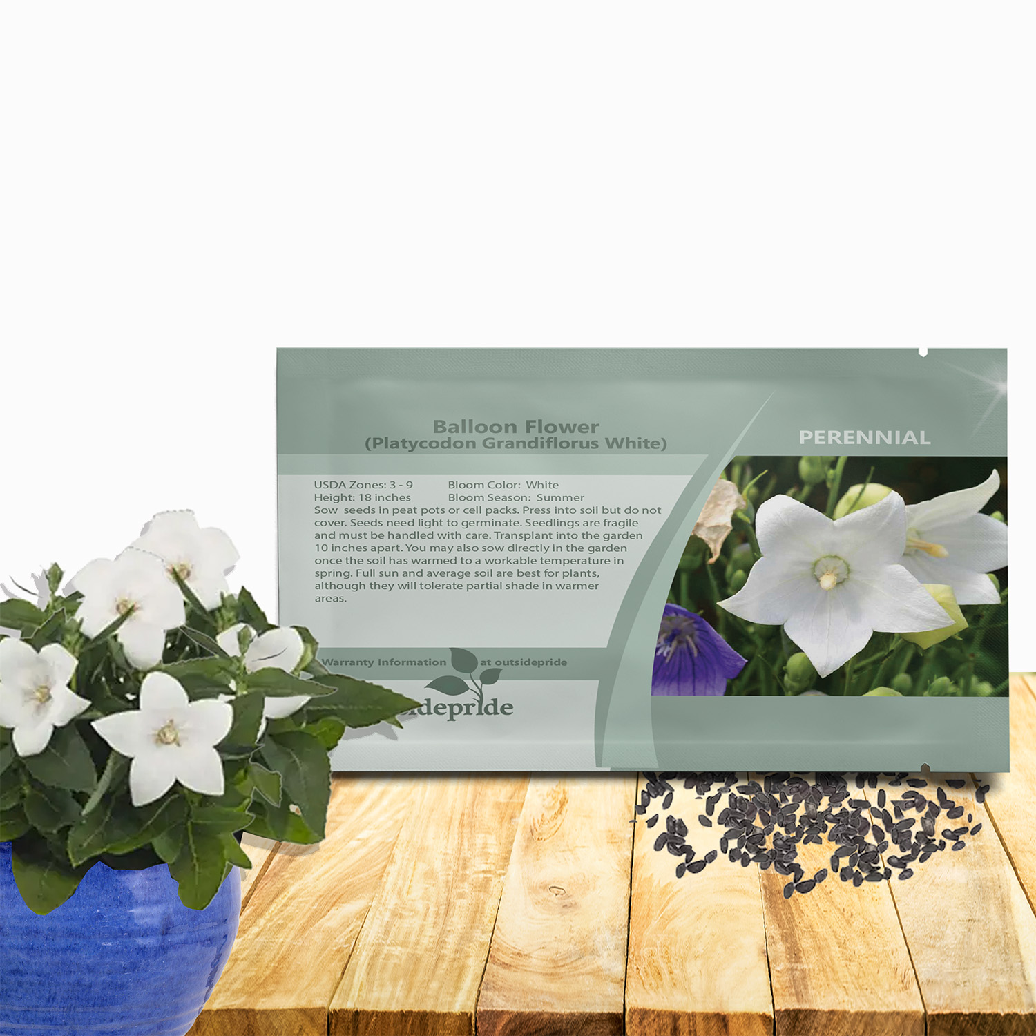 Balloon Flower White Seed Packet