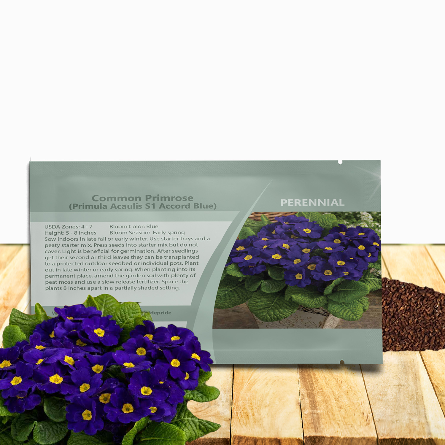 Common Primrose Acaulis Accord Blue Seed Packet