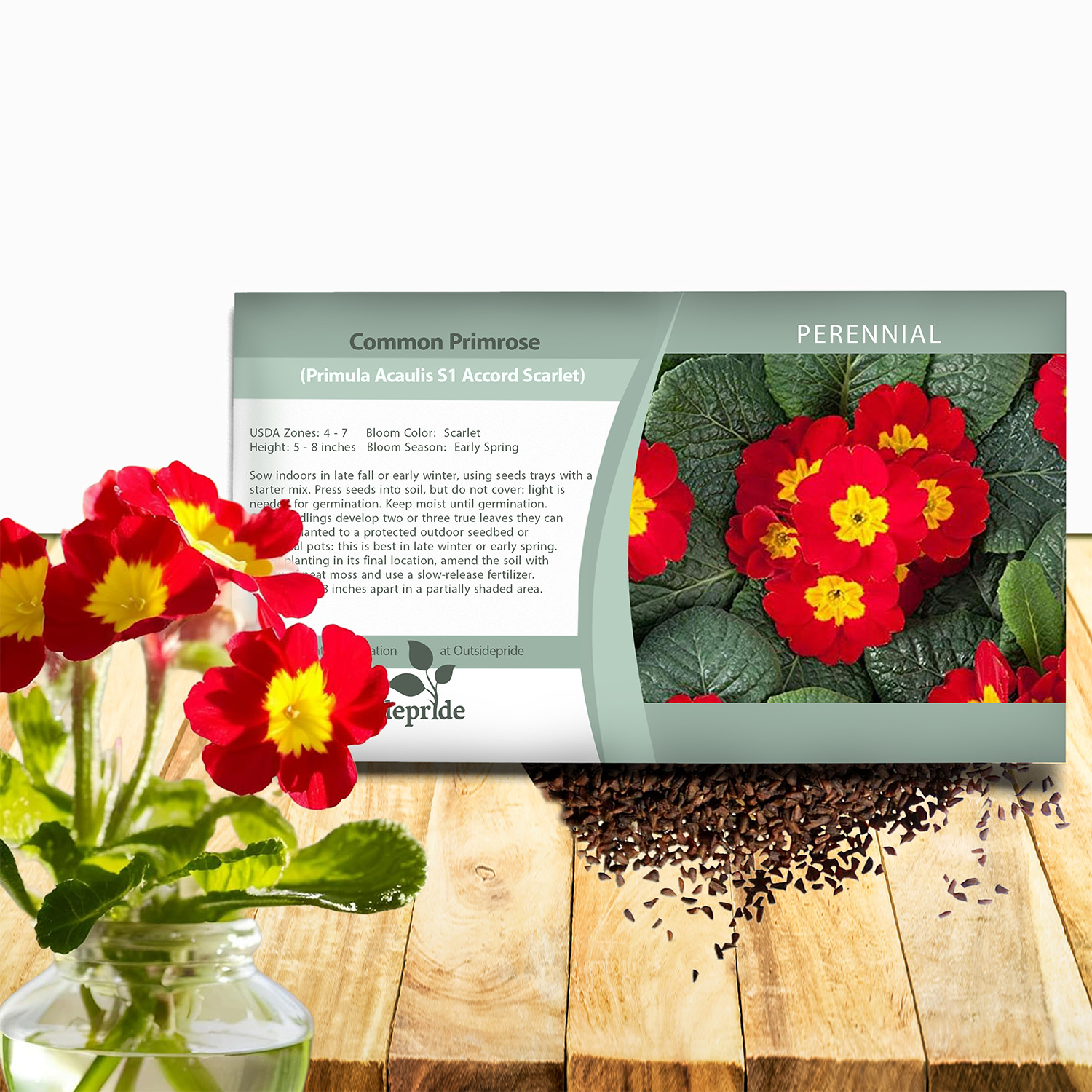 Primrose Acaulis Scarlet Seed Packet