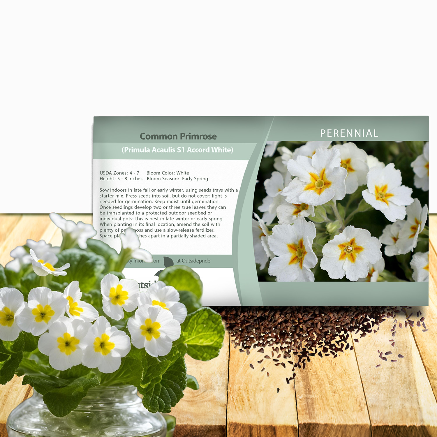 Common Primrose White Seed Packet