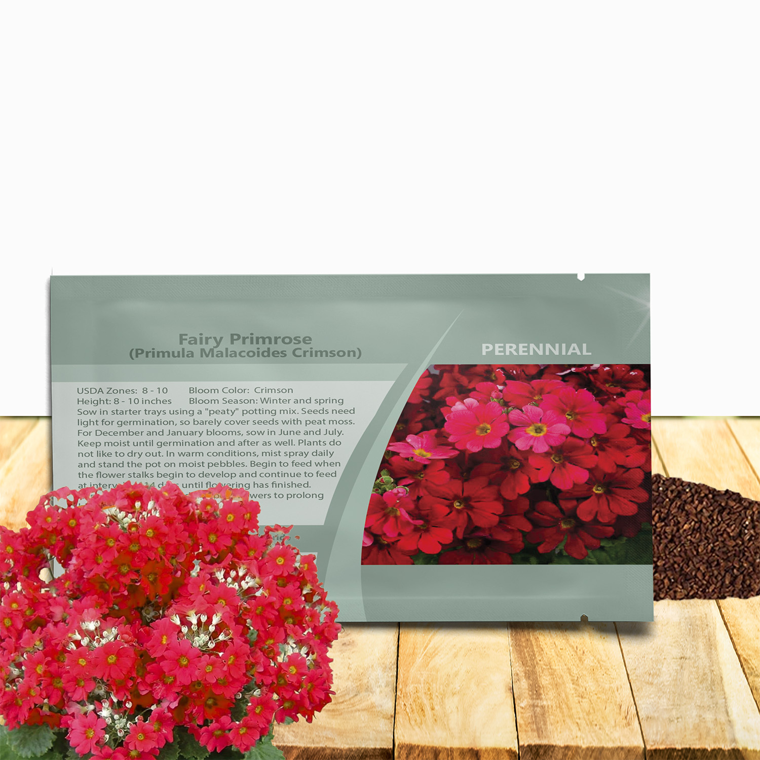 Primula Malacoides Seed Packet