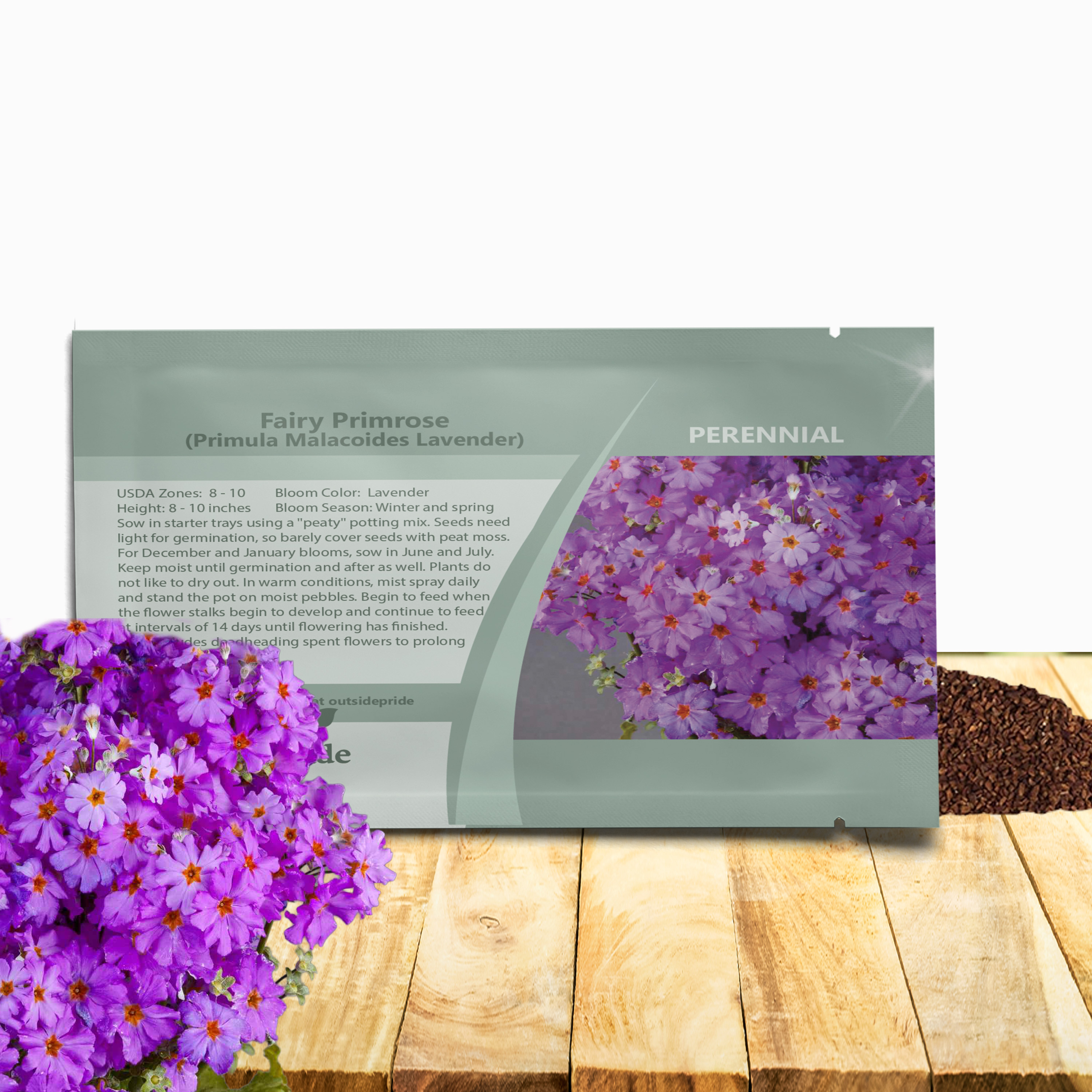 Primula Malacoides Lavender Seed Packet