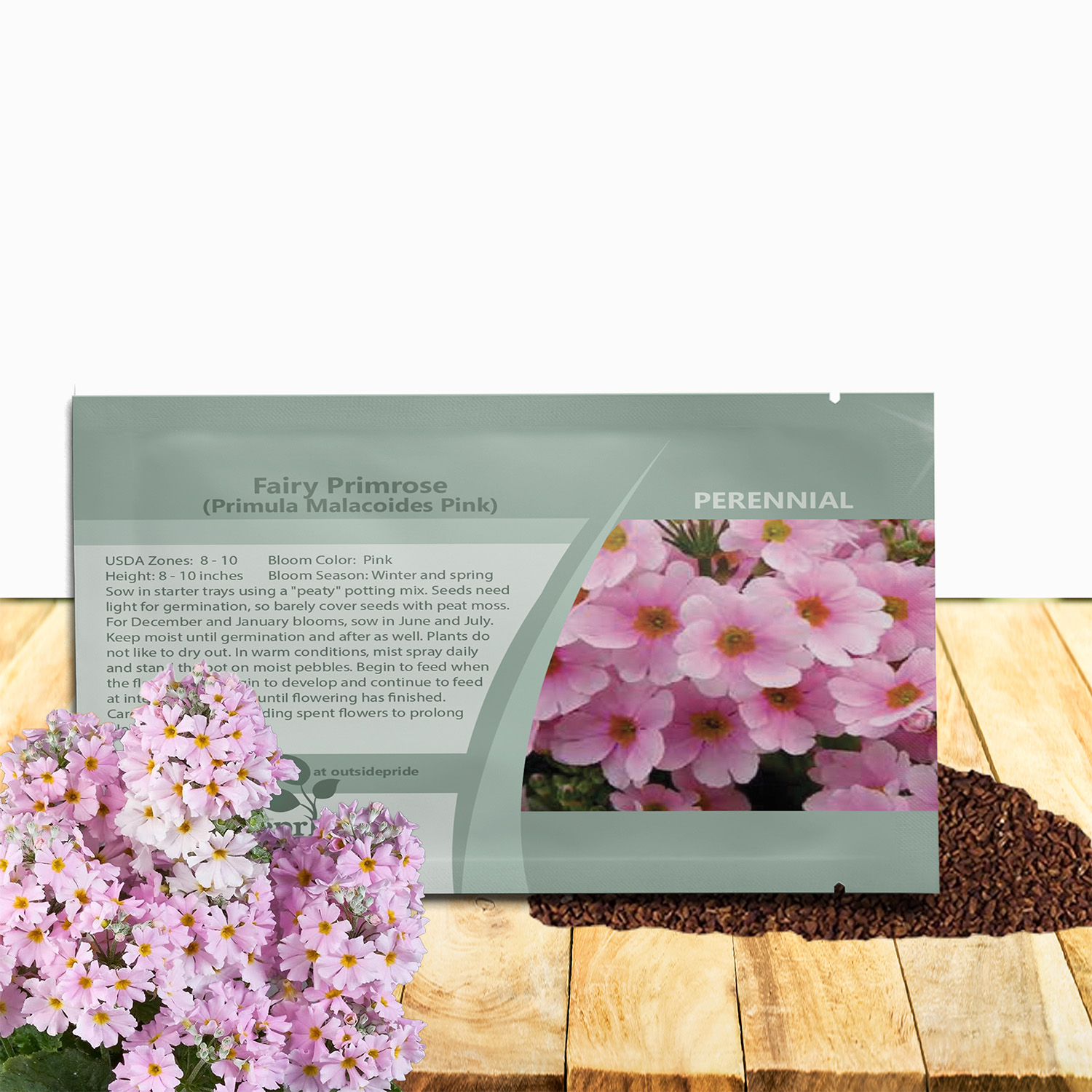 Primula Malacoides Pink Seed Packet