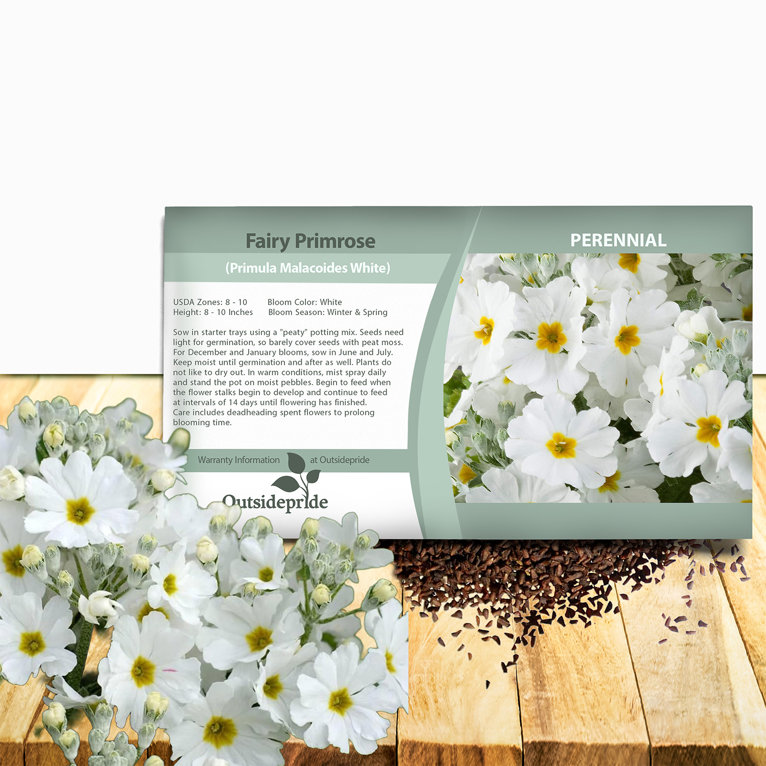 White Fairy Primrose Seed Packet