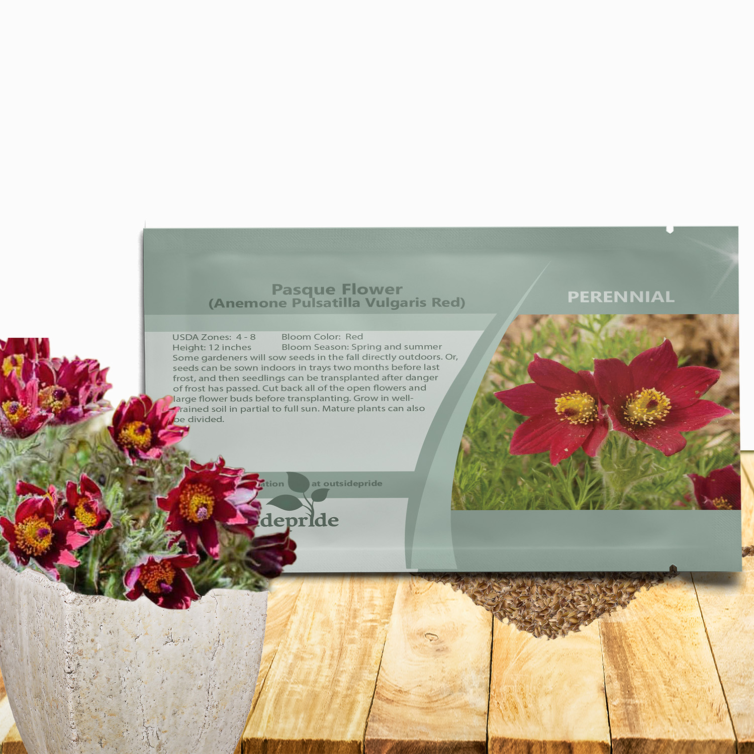 Anemone Pulsatilla Red Seed Packet