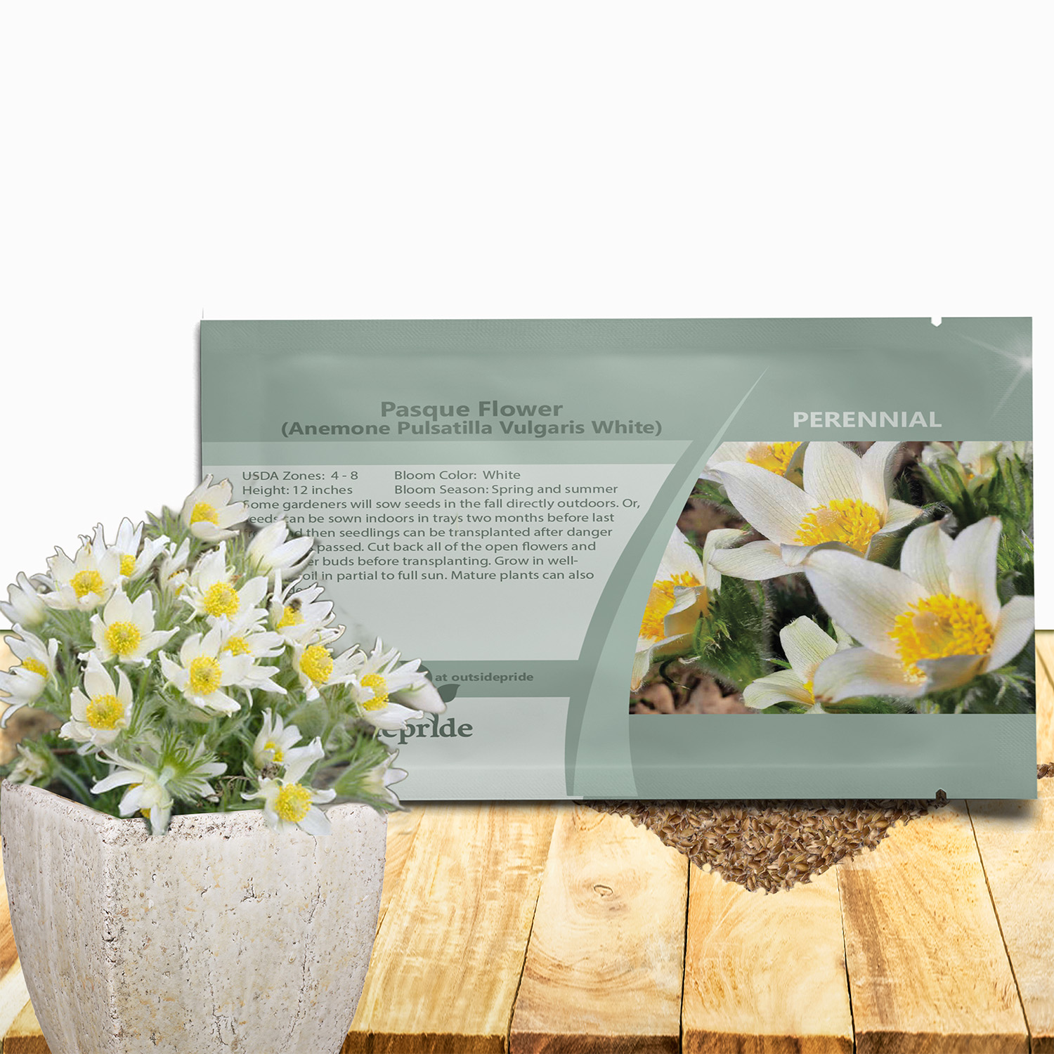 Anemone Vulgaris White seed Packet For Planting