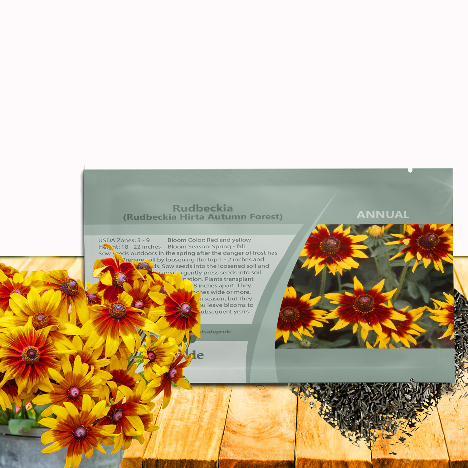 Rudbeckia Hirta Autumn Forest Seed Packet