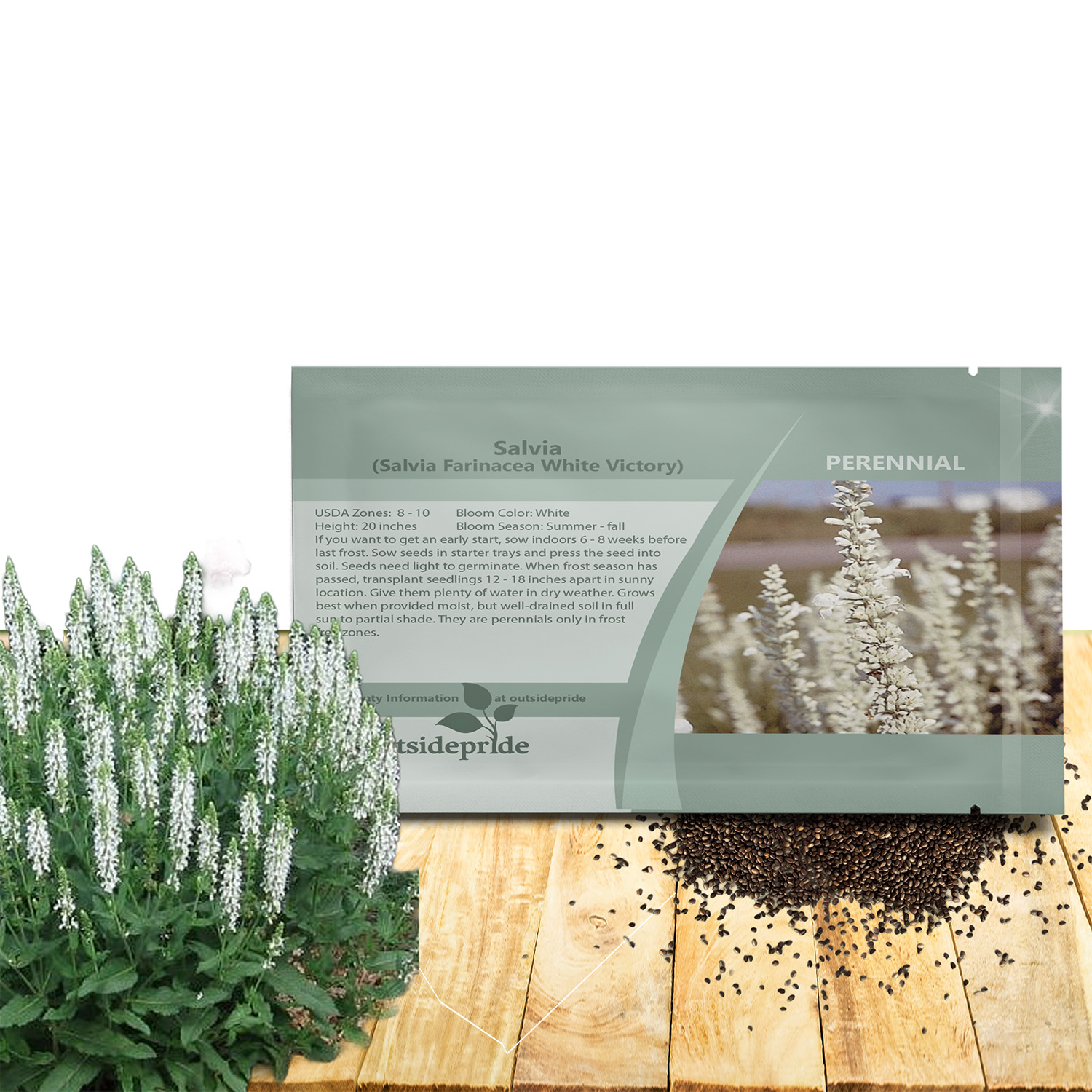 Salvia Farinacea White Seed Packet