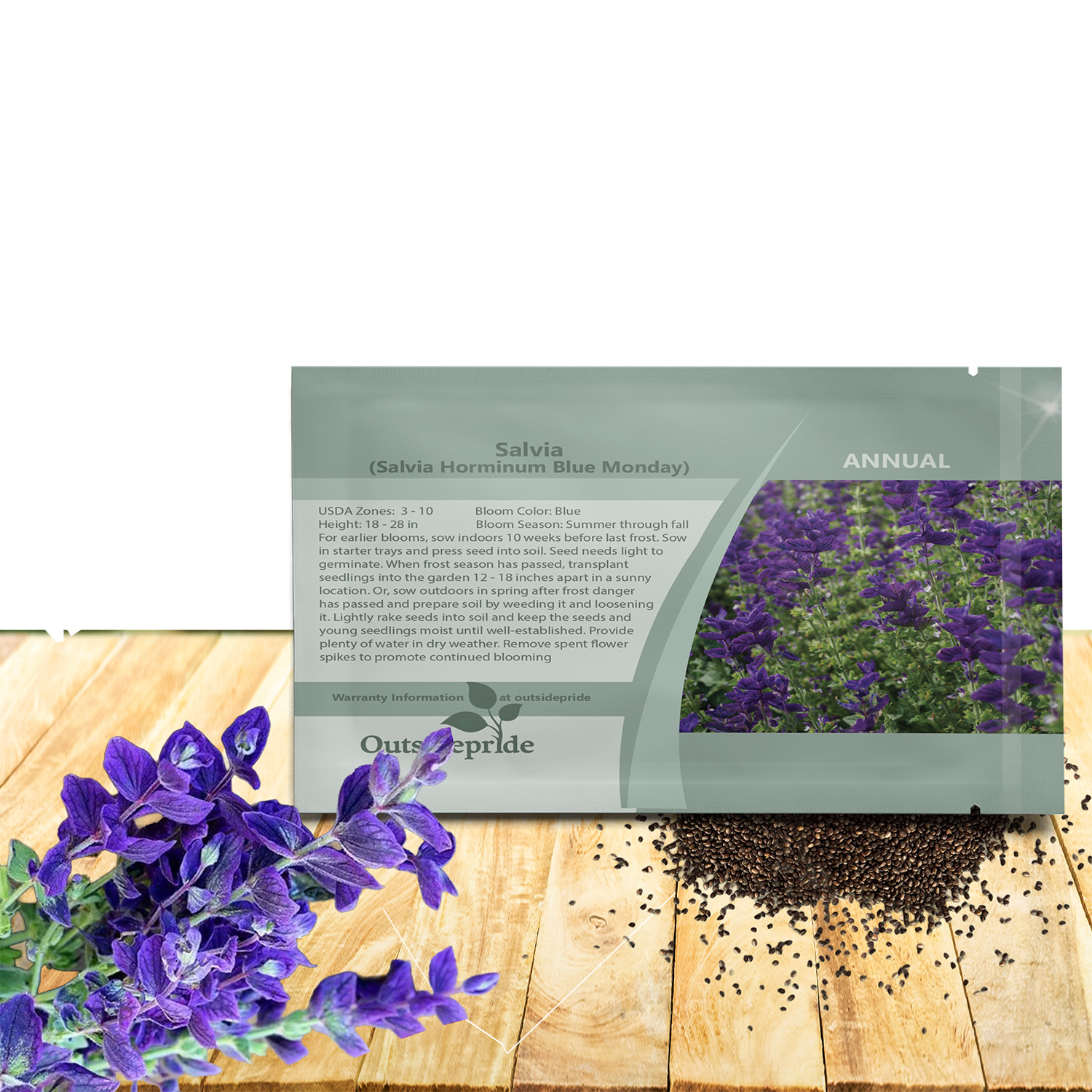 Salvia Blue Monday Flower Seed Packet for Planting