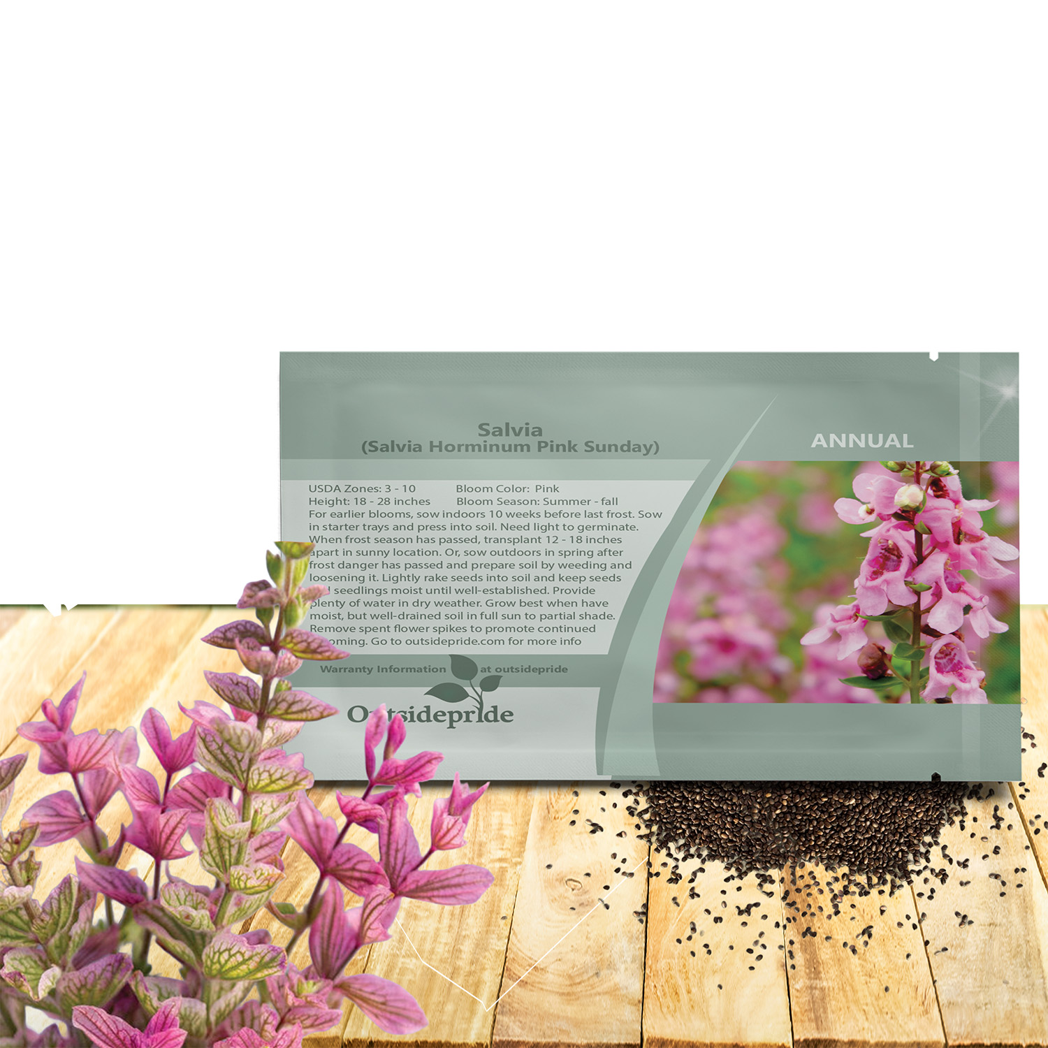 Salvia Pink Sunday Seeds For Planting