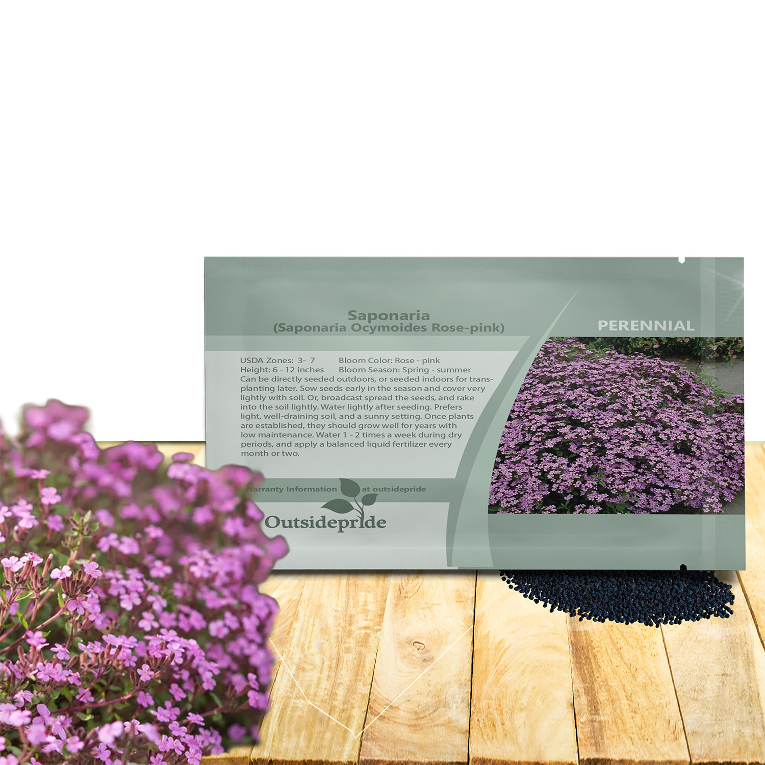 Saponaria Rose-Pink Seed Packet For Planting