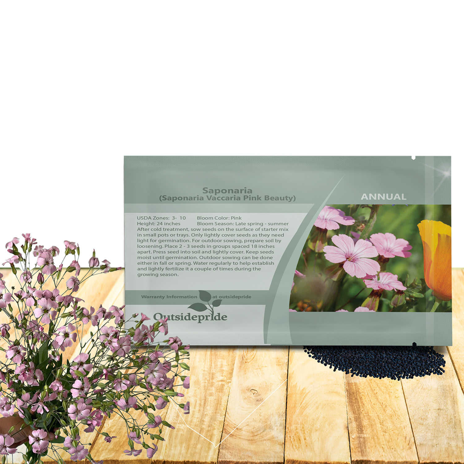 Saponaria Pink Flower Seeds For Planting