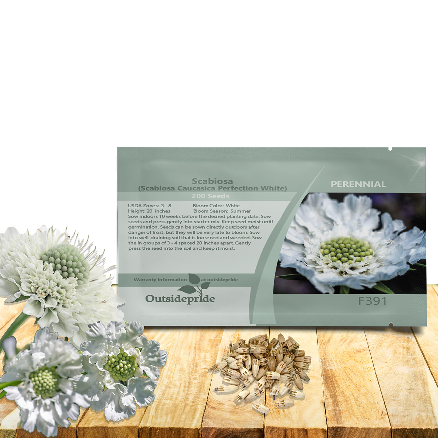 Scabiosa Pincushion White Seed Packet