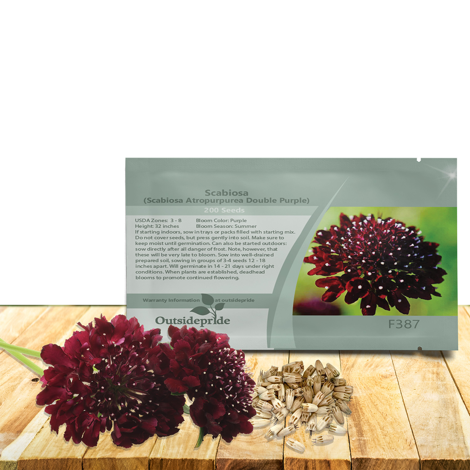 Scabiosa Pincushion Purple Seed Packet