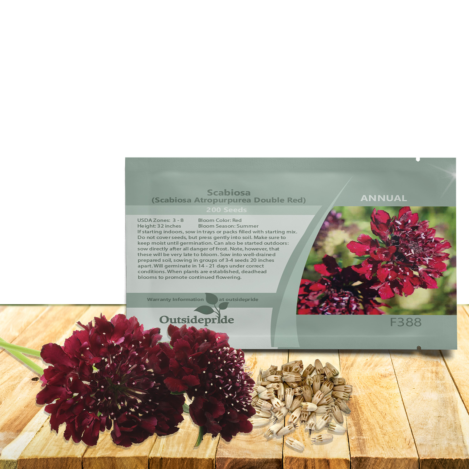 Annual Scabiosa Red Flower Seed Packet