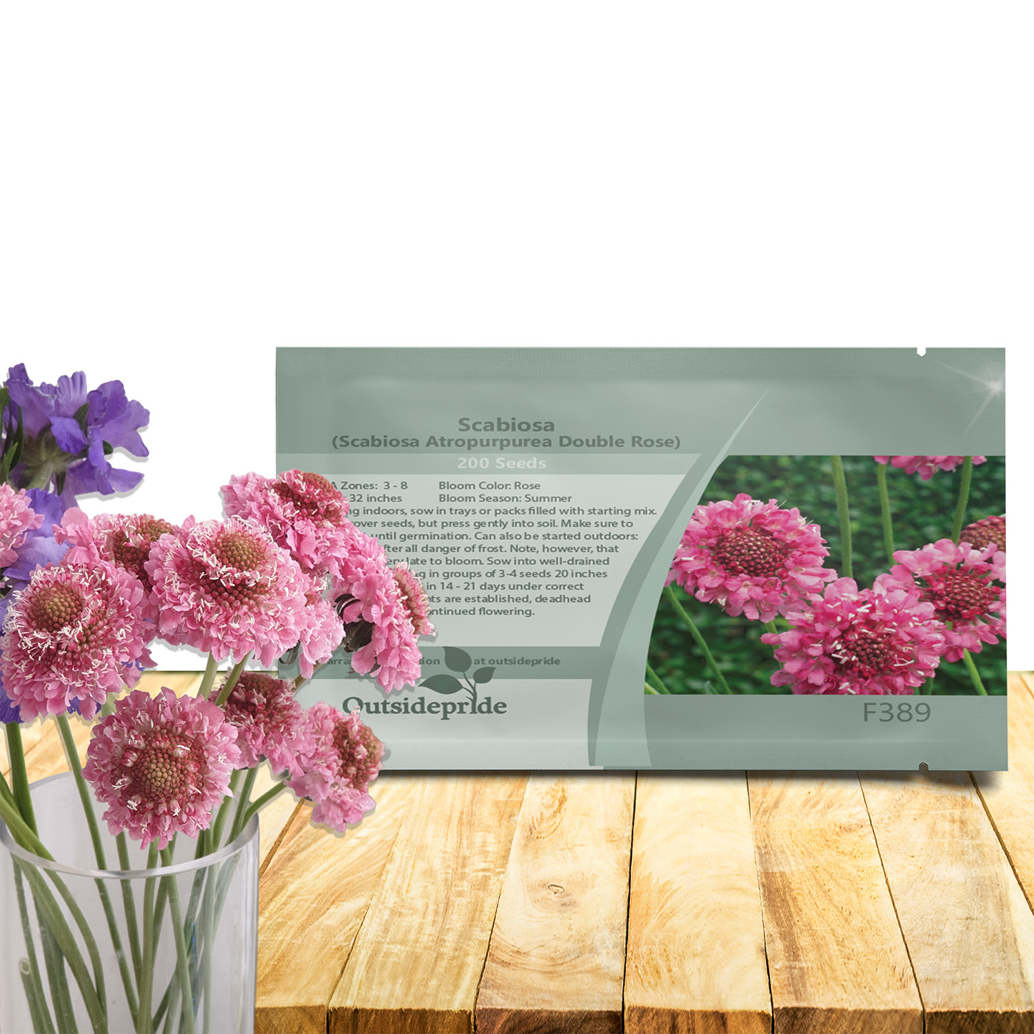 Scabiosa Rose Flowers Seed Packet