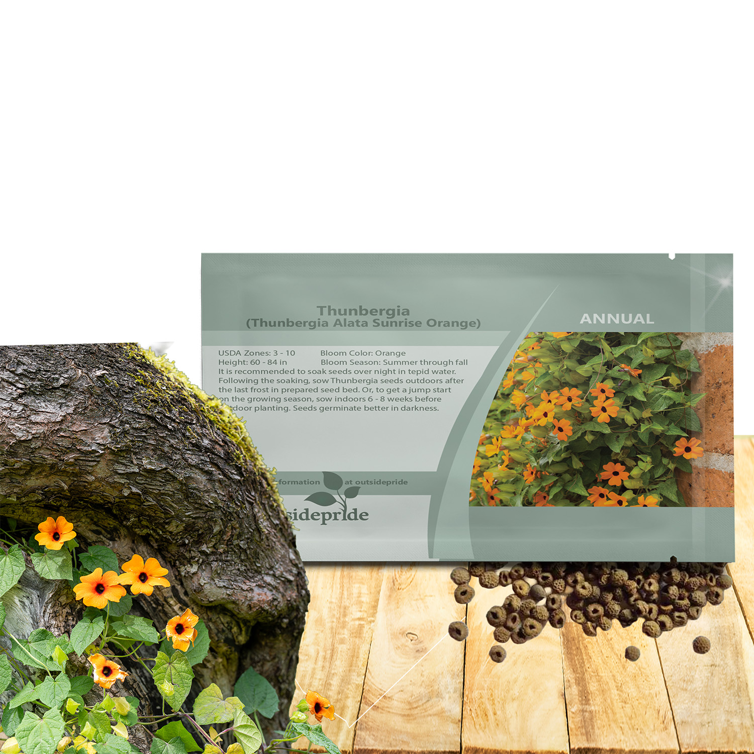 Thunbergia Orange Vining Seeds For Sale