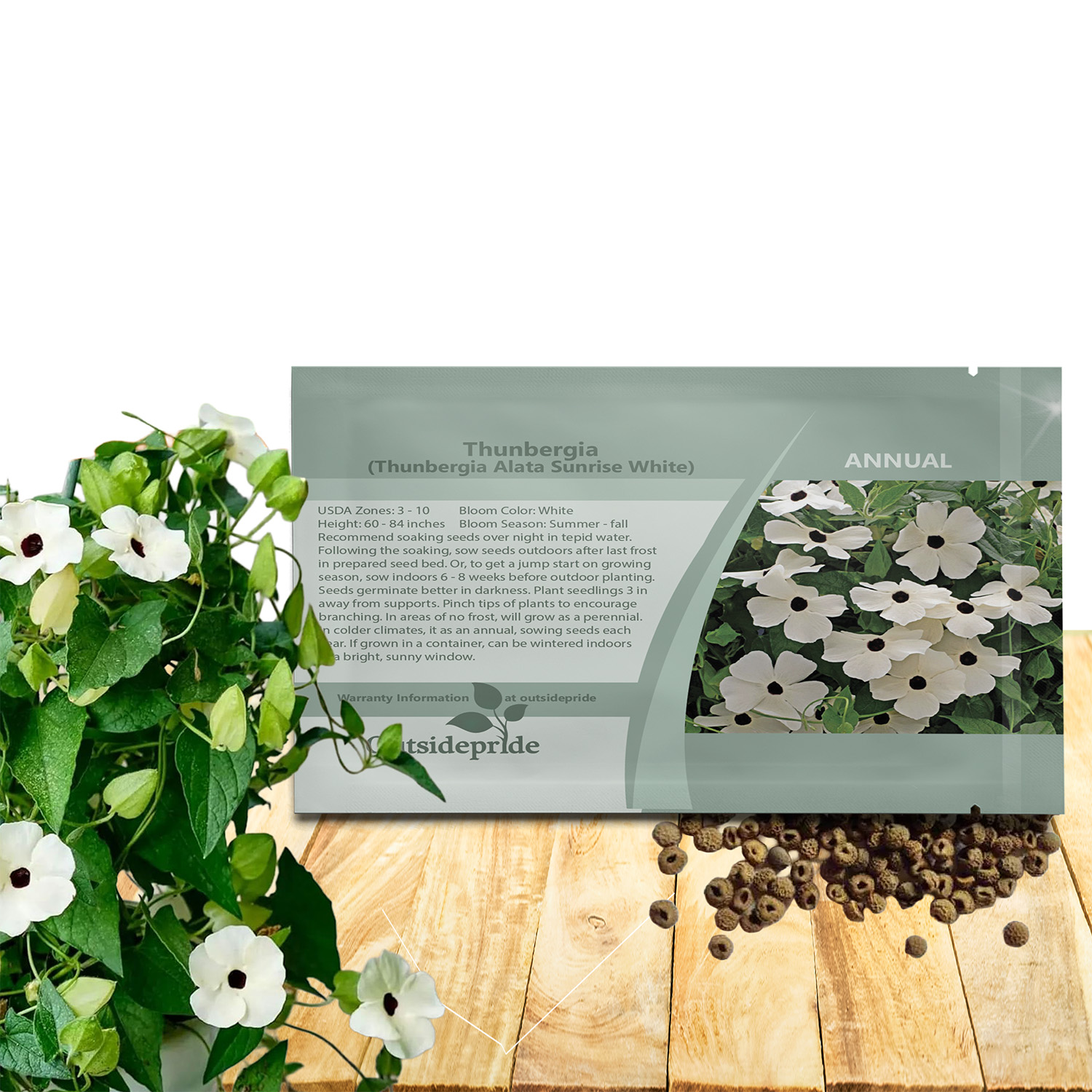 Thunbergia White Flower Seed Packet