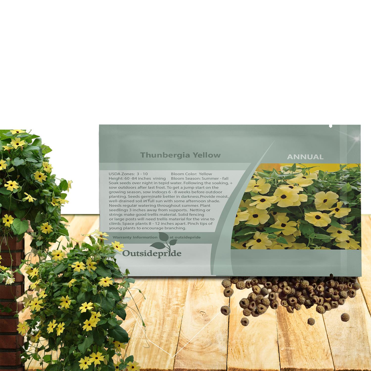 Yellow Thunbergia Seed Packets