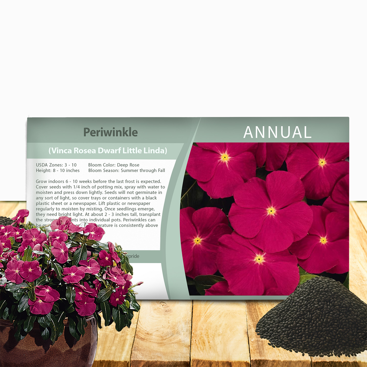 Vinca Rose Ground Cover Seed Packet