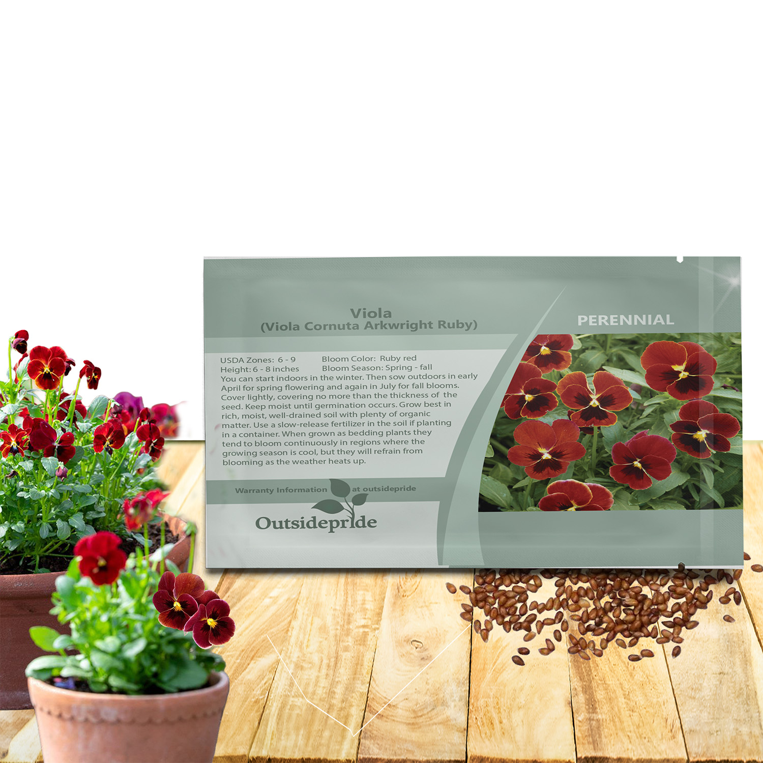 Viola Large Arkwright Ruby Seed Packet