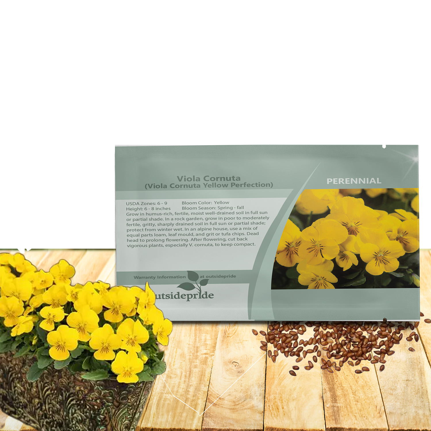 Viola Cornuta Large Yellow Seed Packet