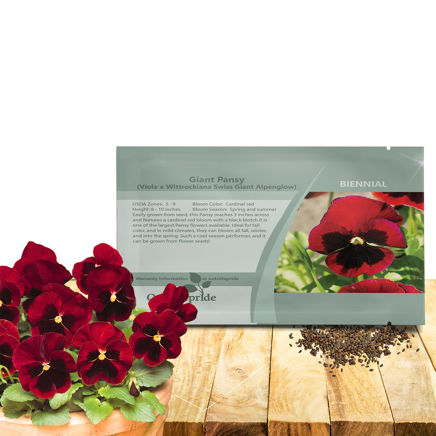 Viola Swiss Giants Alpenglow Seeds For Planting