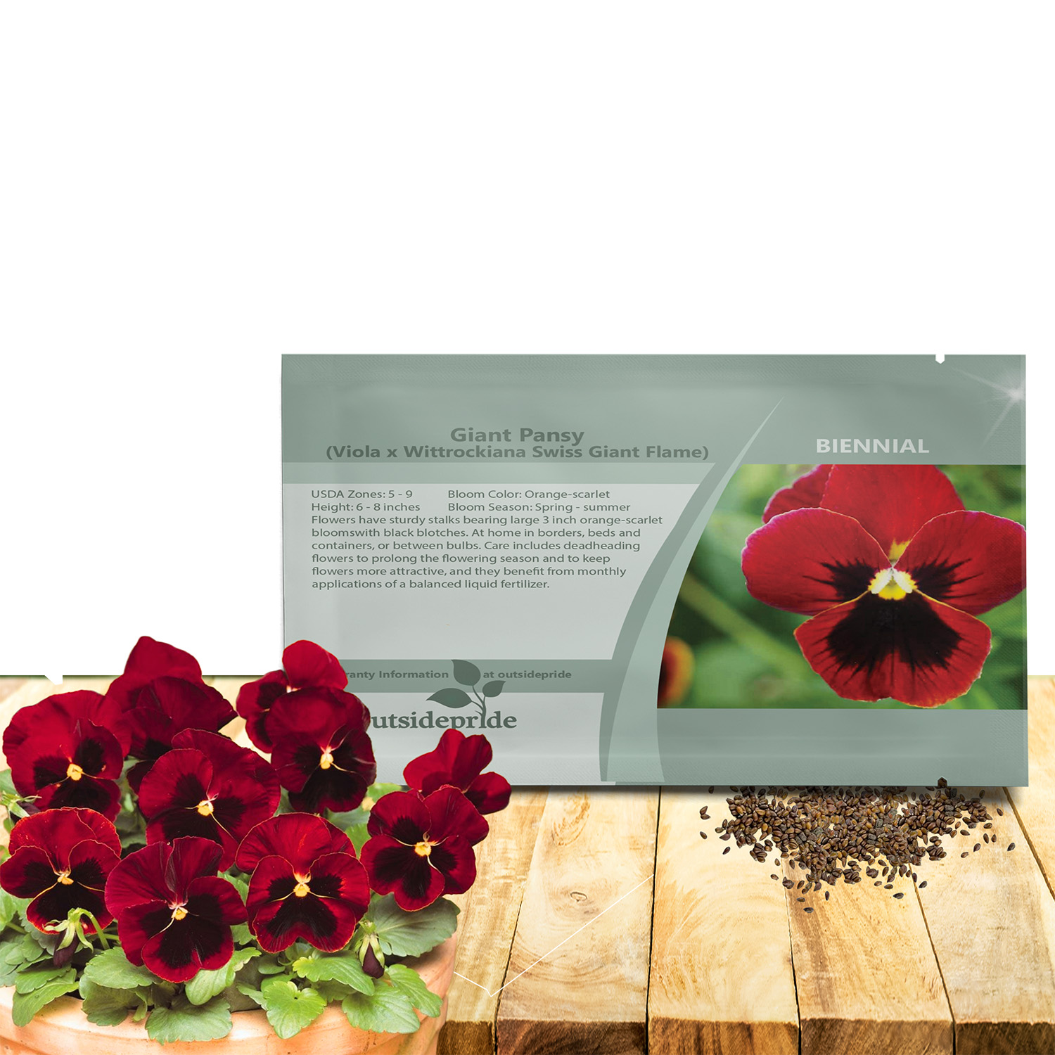 Viola Swiss Giants Flame Seed Packet